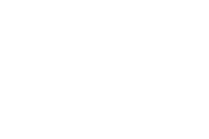 Logo Energiesteuerung Tina Bitterer