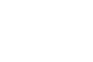 Logo Custodia