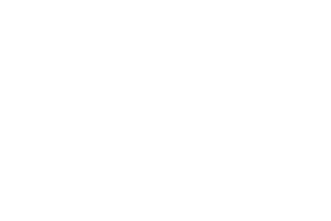 Logo Dentalinitiative