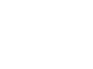 Logo Domäne Rheinfelderhof