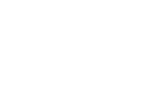 Logo Home Deluxe