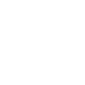 Logo Emil Frey Mainfranken