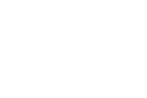 Logo Emil Frey Mainfranken