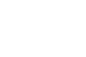 Logo Emil Frey Mainfranken