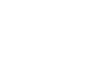 Logo Metis 4 Business