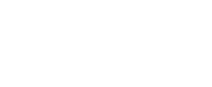 Logo Metis 4 Business