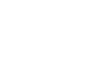 Logo Scheuble