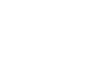 Logo Selgros