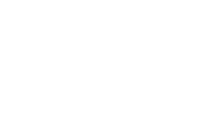 Logo Tortue