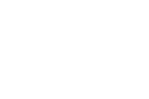Logo Tortue