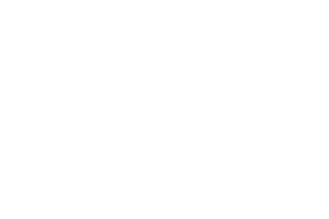 Logo Verantec