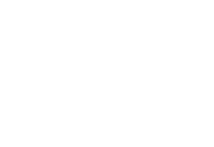 Logo Matthias Weidmann