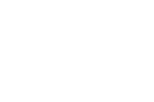 Logo Matthias Weidmann