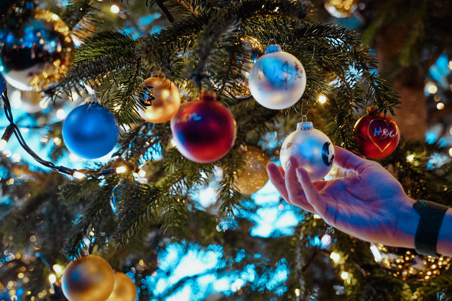 Knight of Dreams_00-47-58_DUK03407